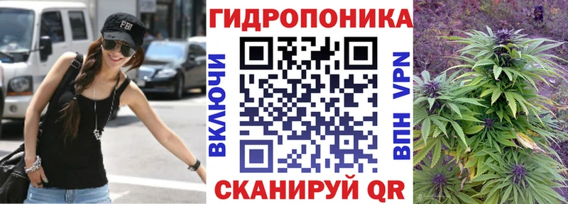 Канабис OG Kush  Перевоз 
